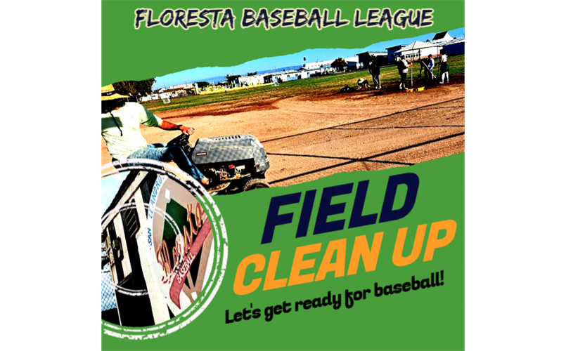 Floresta Baseball League > Home
